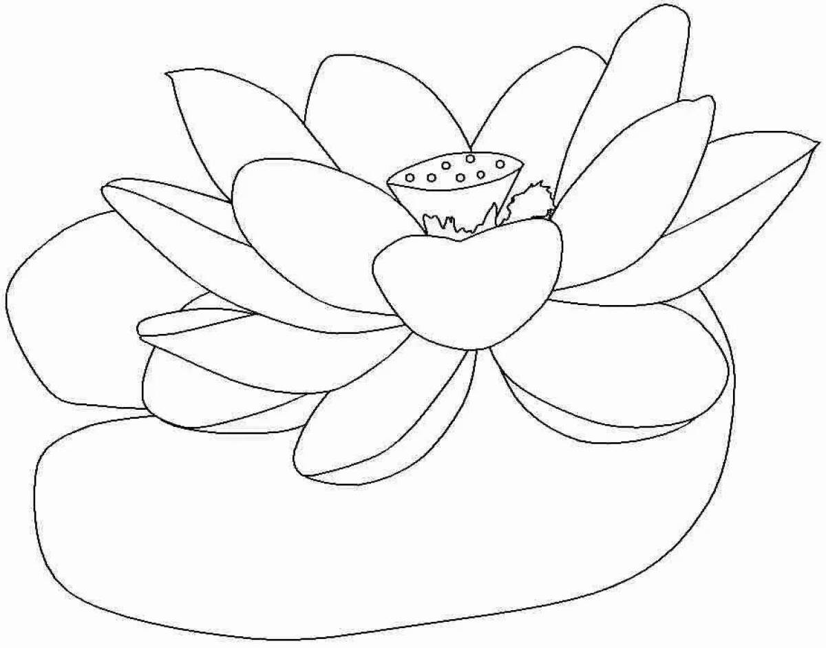 Living white water lily coloring