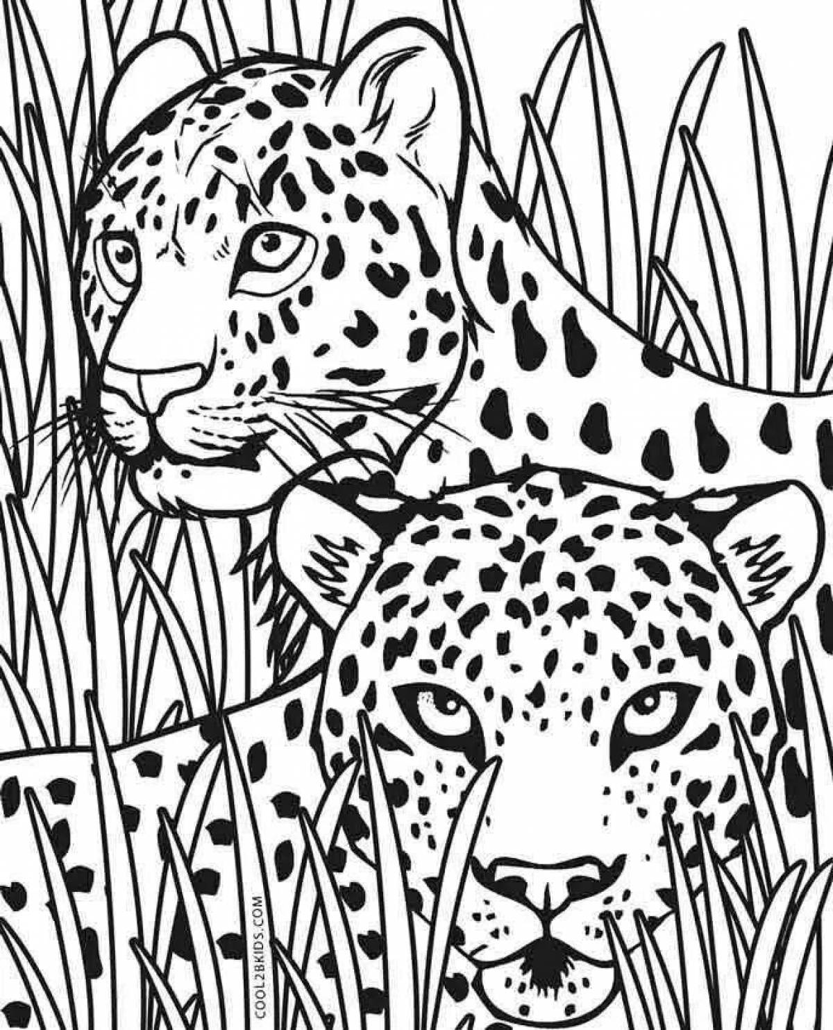Coloring page striking Far Eastern leopard
