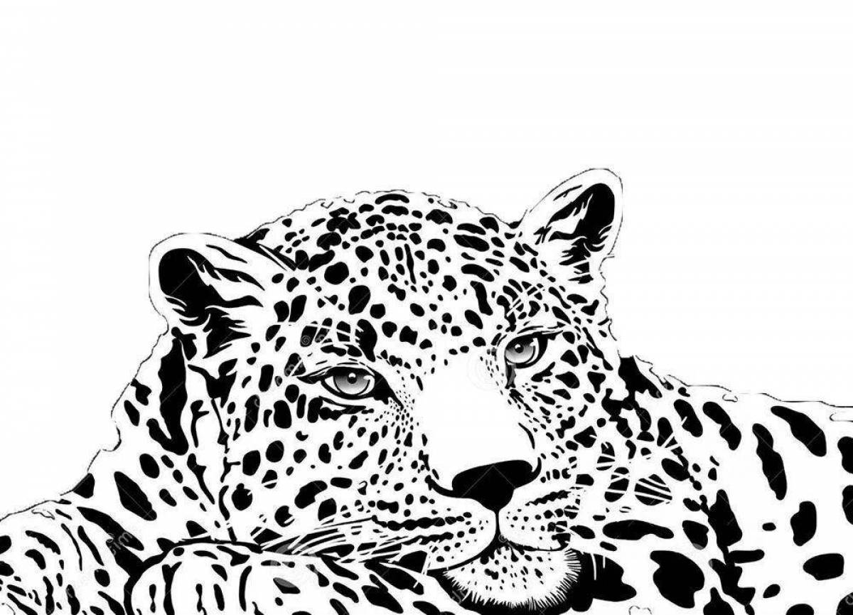 Coloring book magnificent Far Eastern leopard
