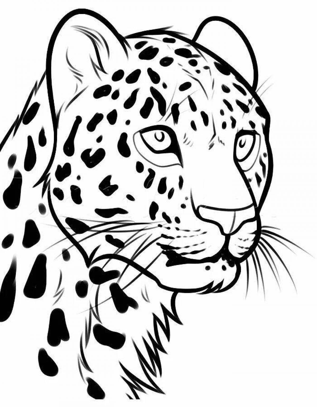 Radiant Far Eastern leopard coloring page