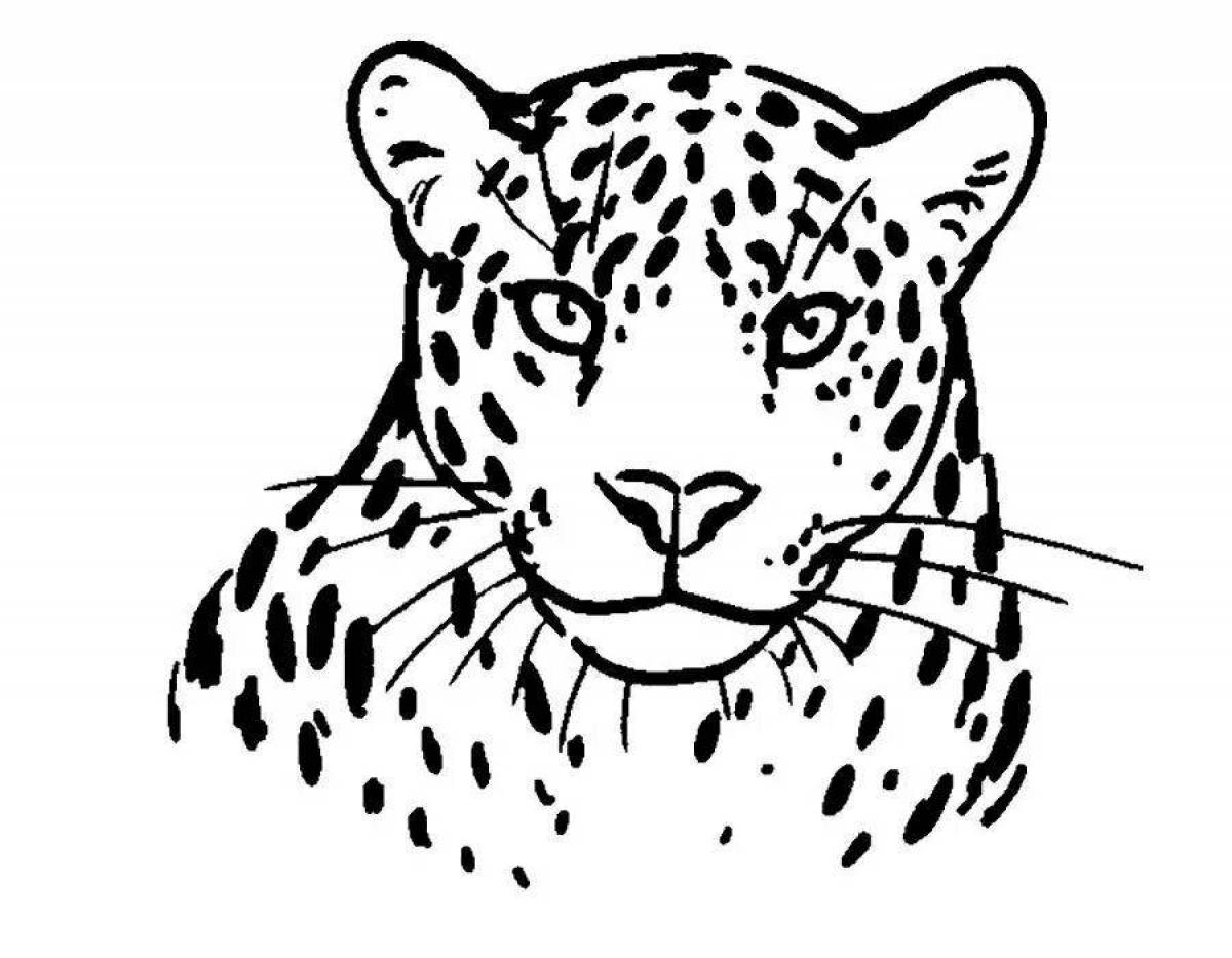 Coloring book nice Far Eastern leopard