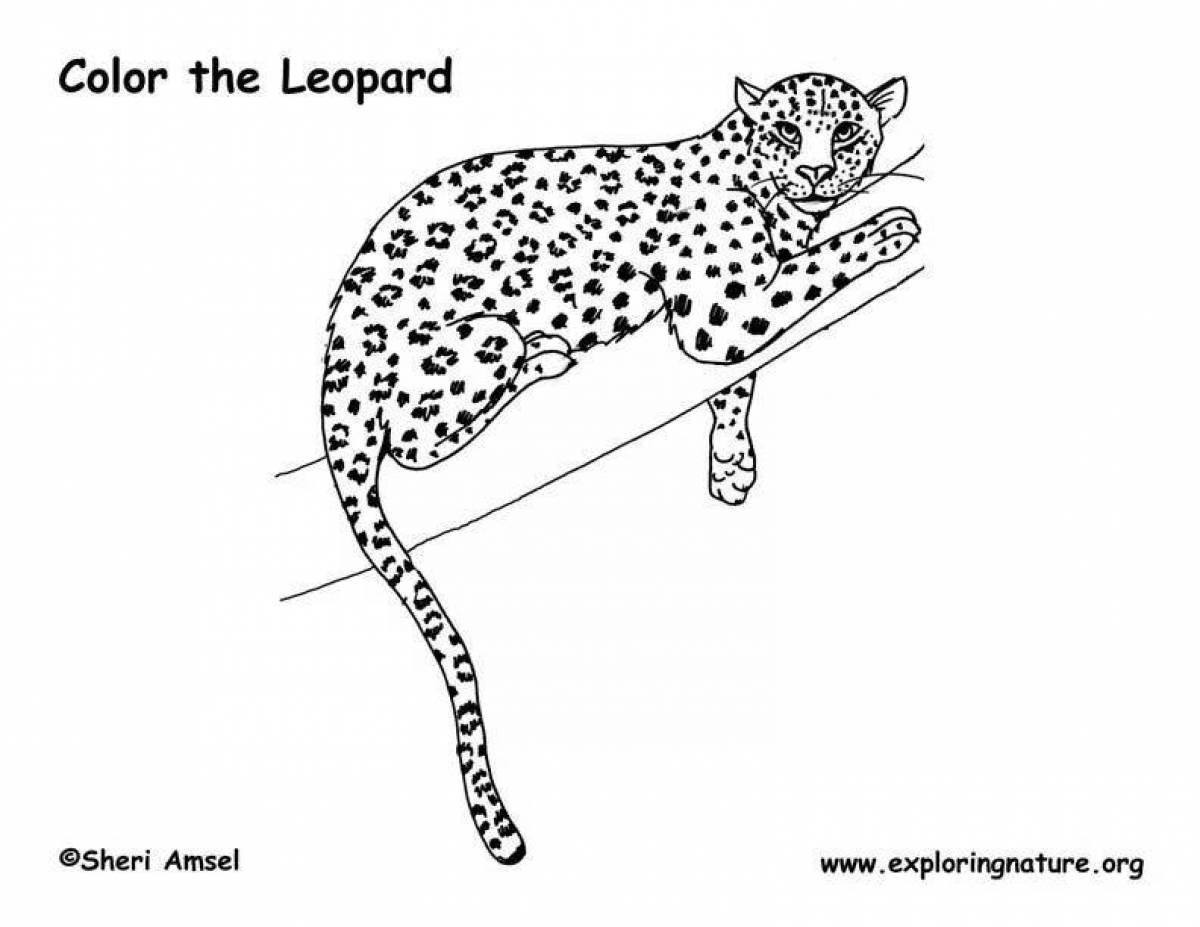 Coloring book exquisite Far Eastern leopard