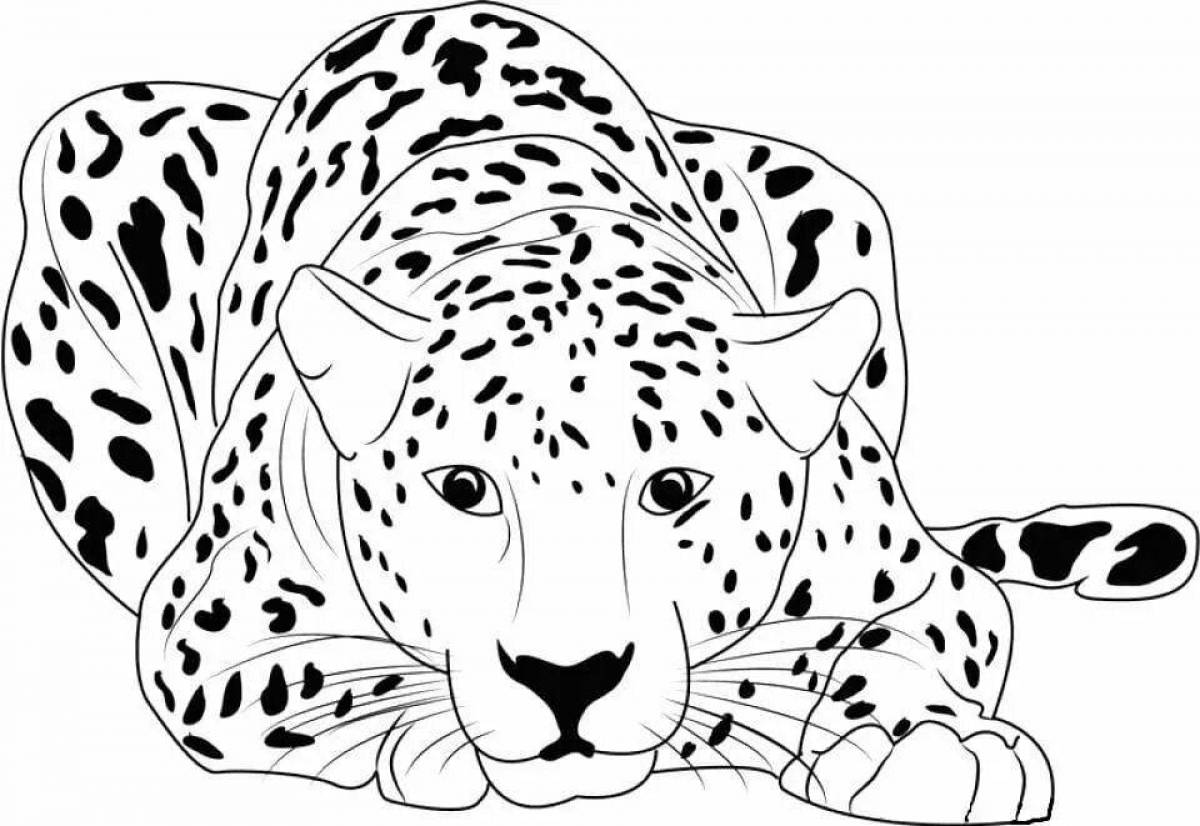 Coloring book beckoning far eastern leopard