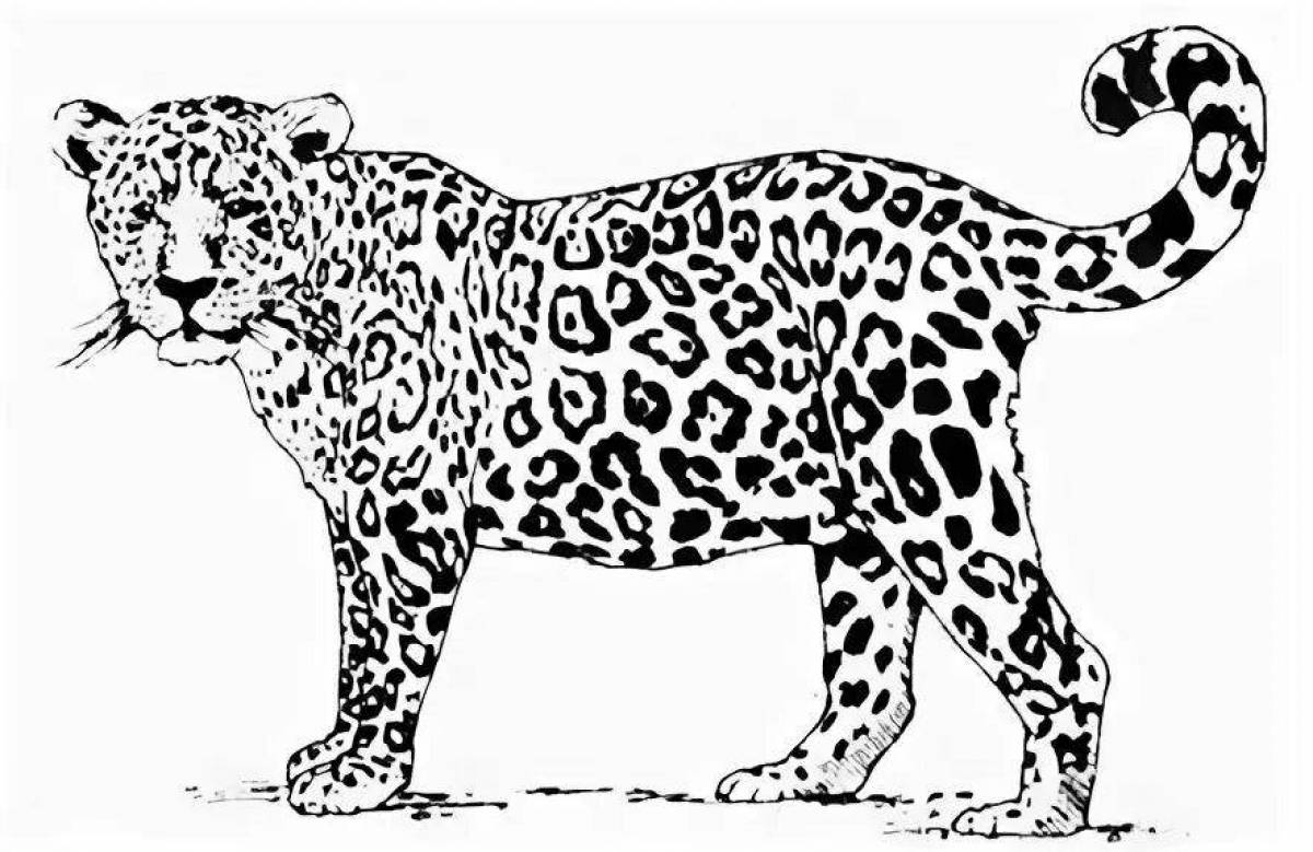 Интригующая раскраска дальневосточного леопарда