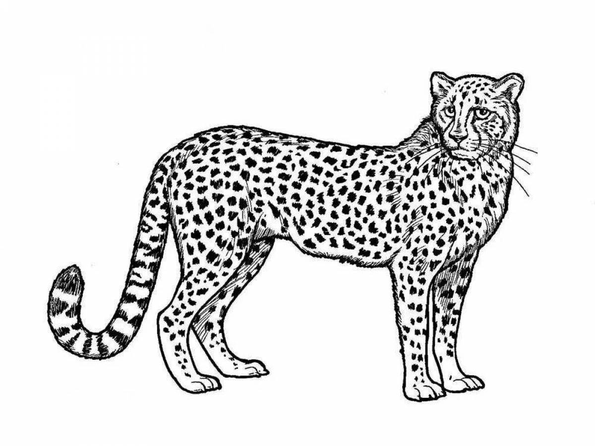 Coloring book beautiful Far Eastern leopard