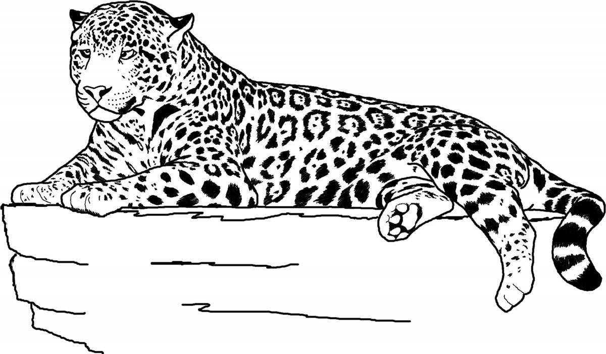 Adorable Far Eastern leopard coloring page
