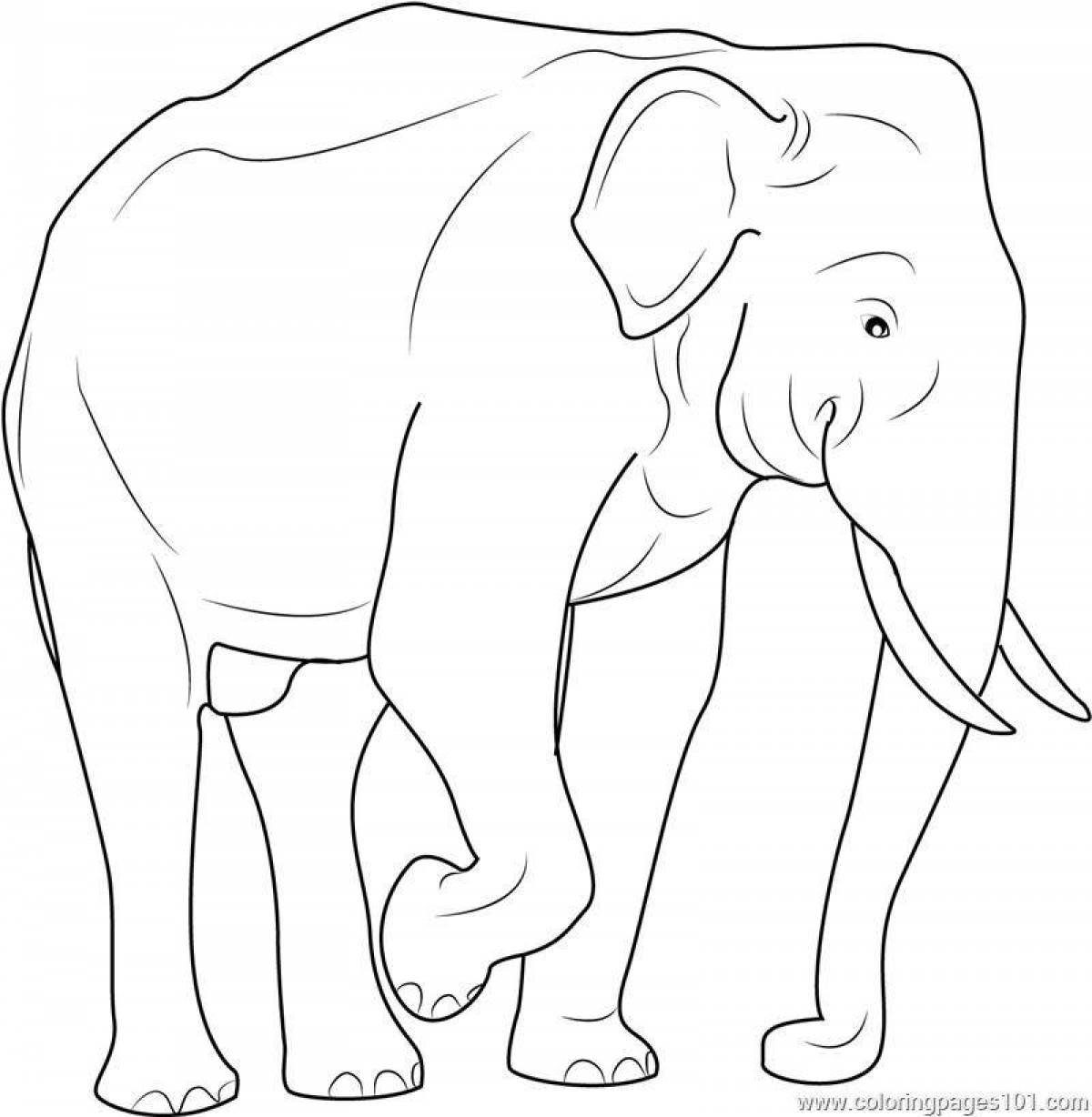 Буйная раскраска индийский слон