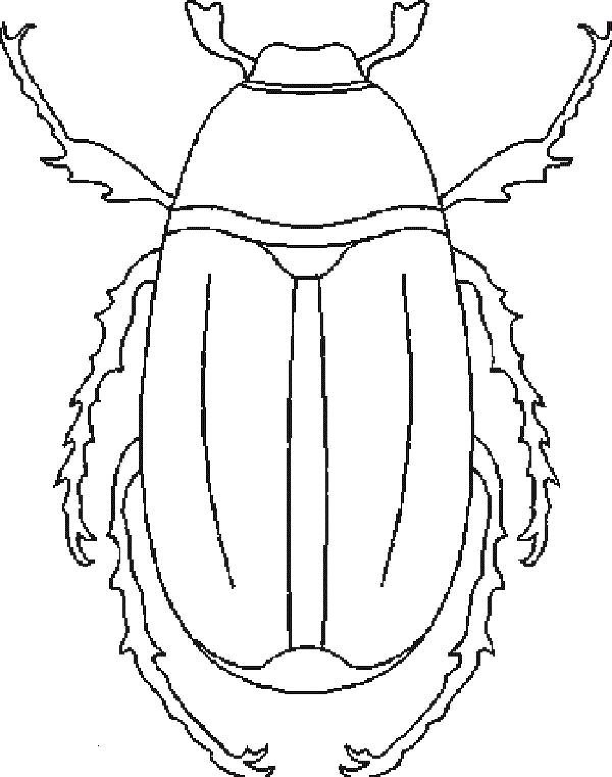 Жук картинка раскраска