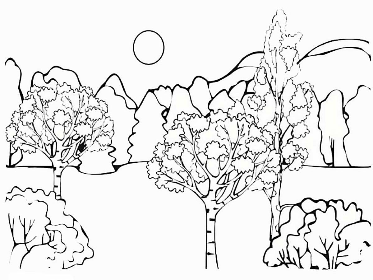 Раскраски для детей 6 7 природа. Раскраска природа. Раскраска пейзаж. В лесу. Раскраска. Осенний пейзаж раскраска.