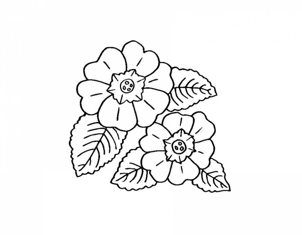 Coloring page seven-flowered flowers with leaves