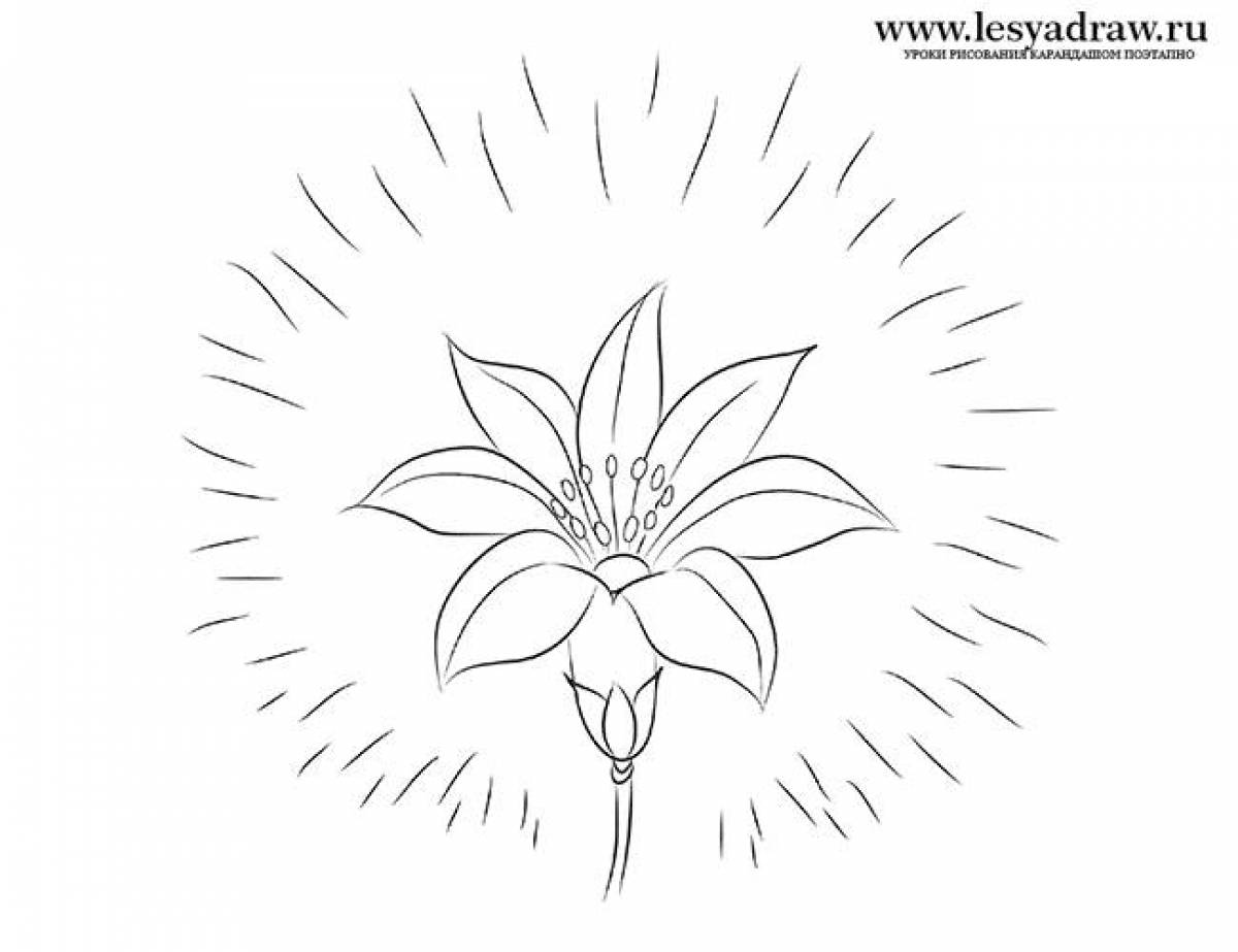 Фото Раскраска сияние цветика семицветика