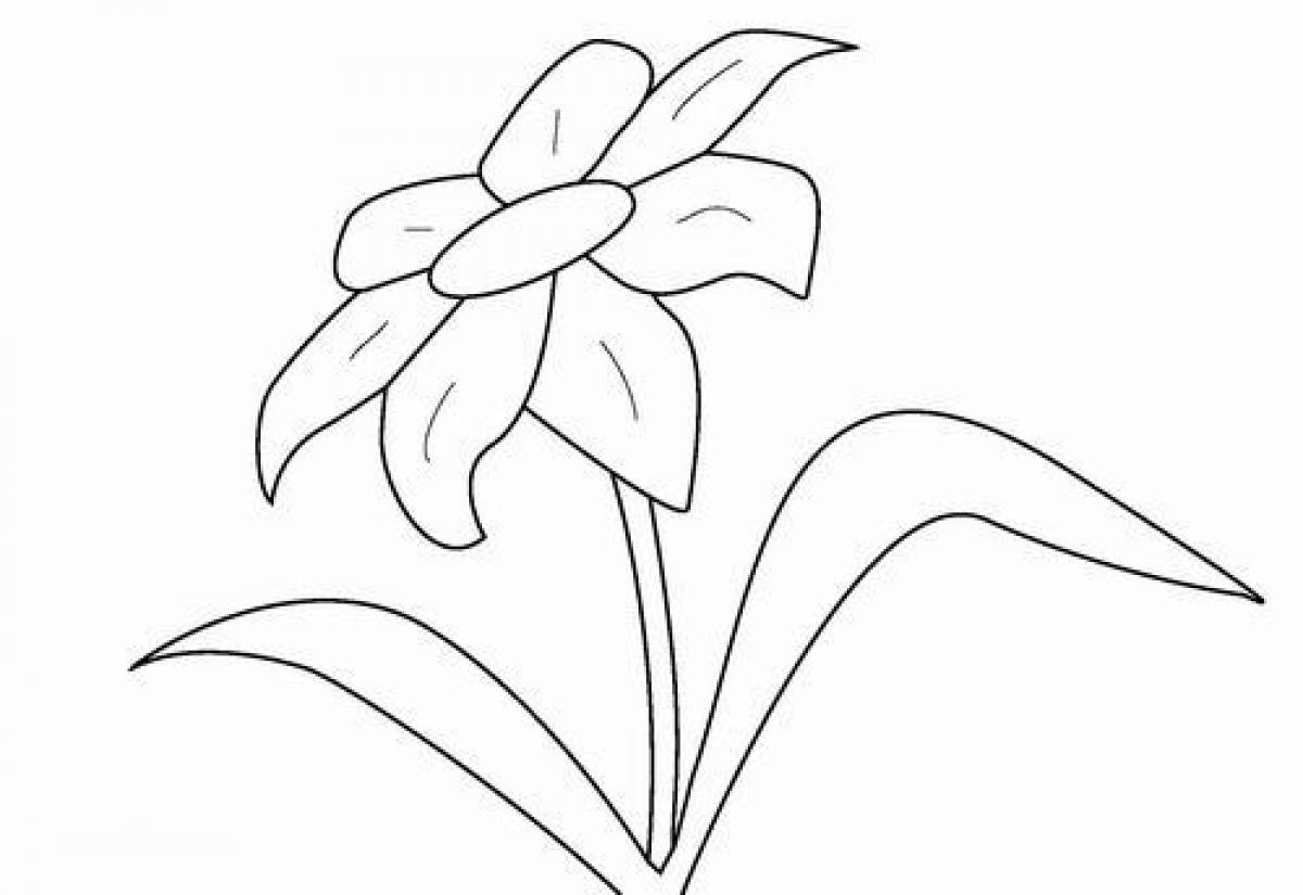 Coloring page