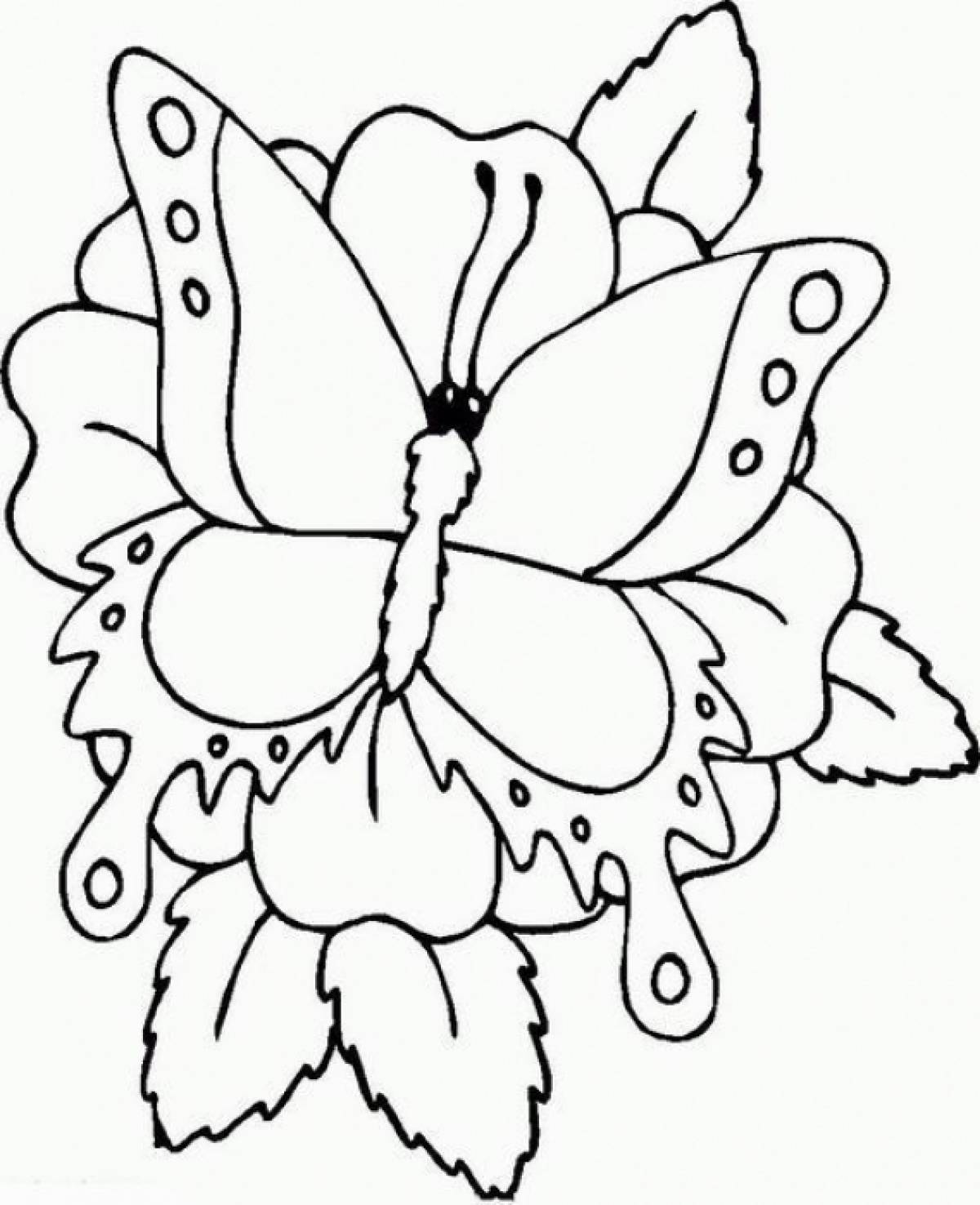 Фото Раскраска бабочка на цветке