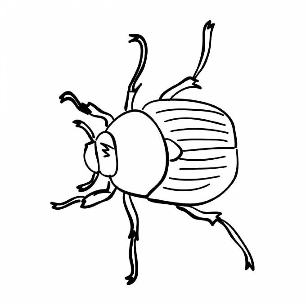 King beetle