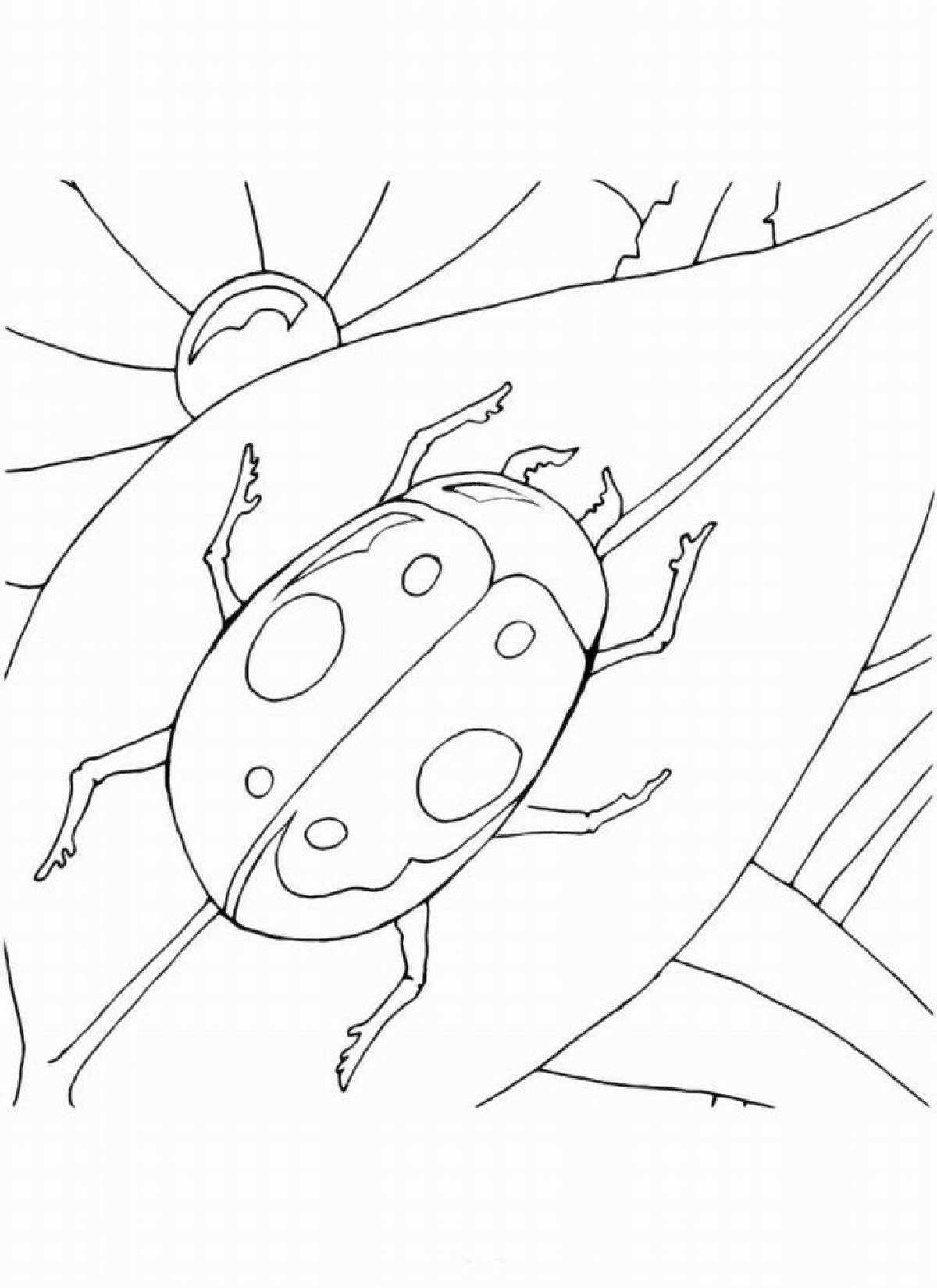 Beetle crawling on a leaf