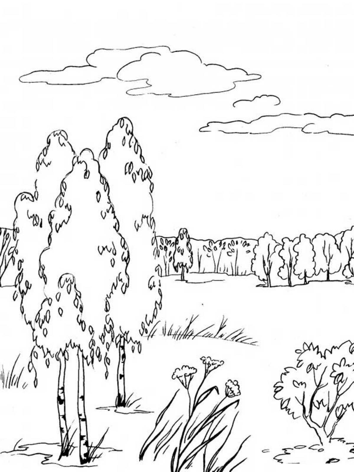 Landscape of a birch in a field
