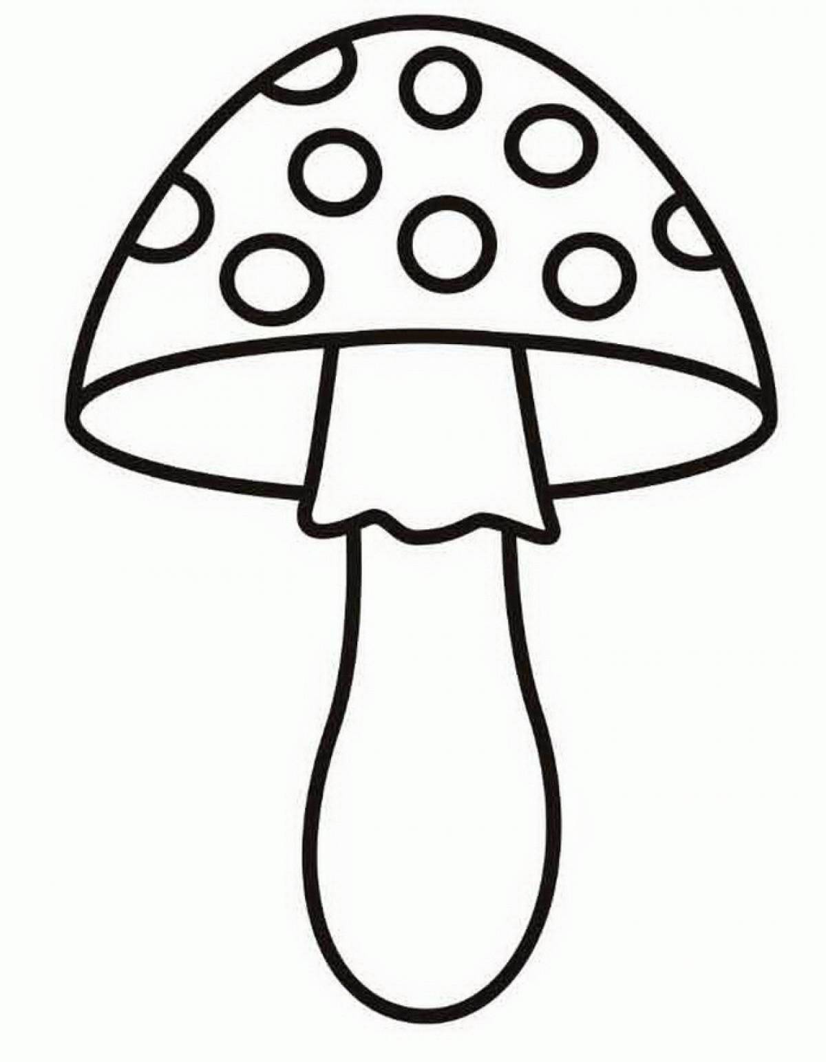 Picture of fly agaric