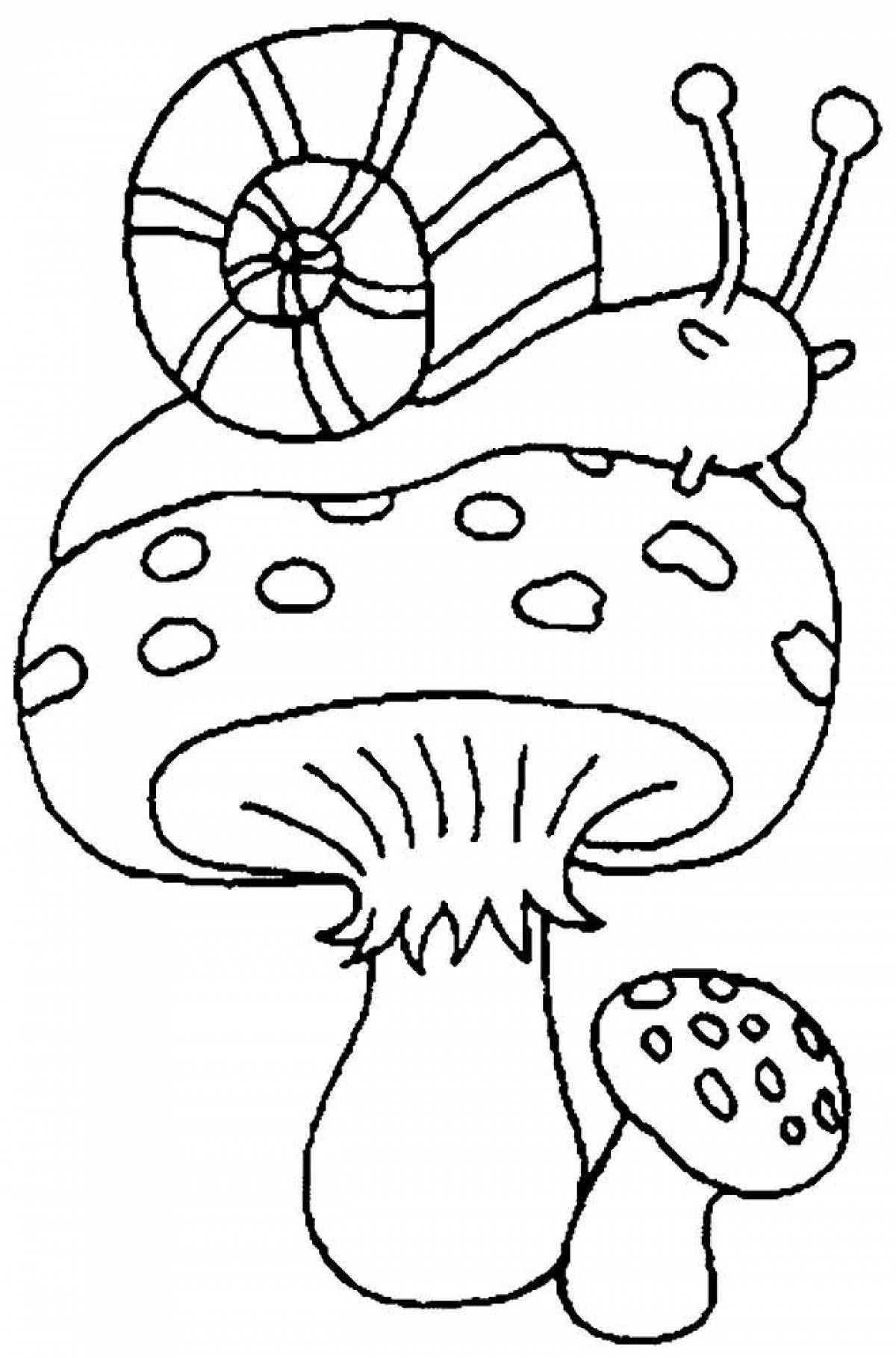 Fly agaric and snail