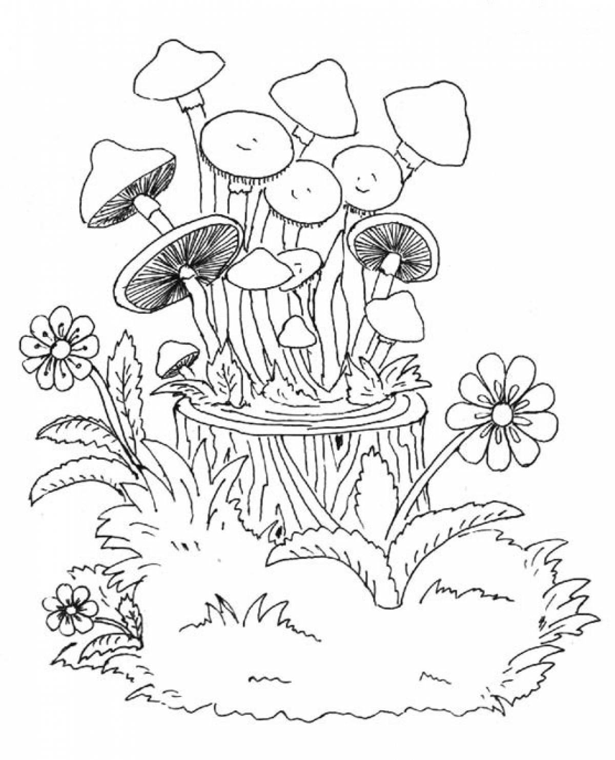 Honey mushrooms on a stump