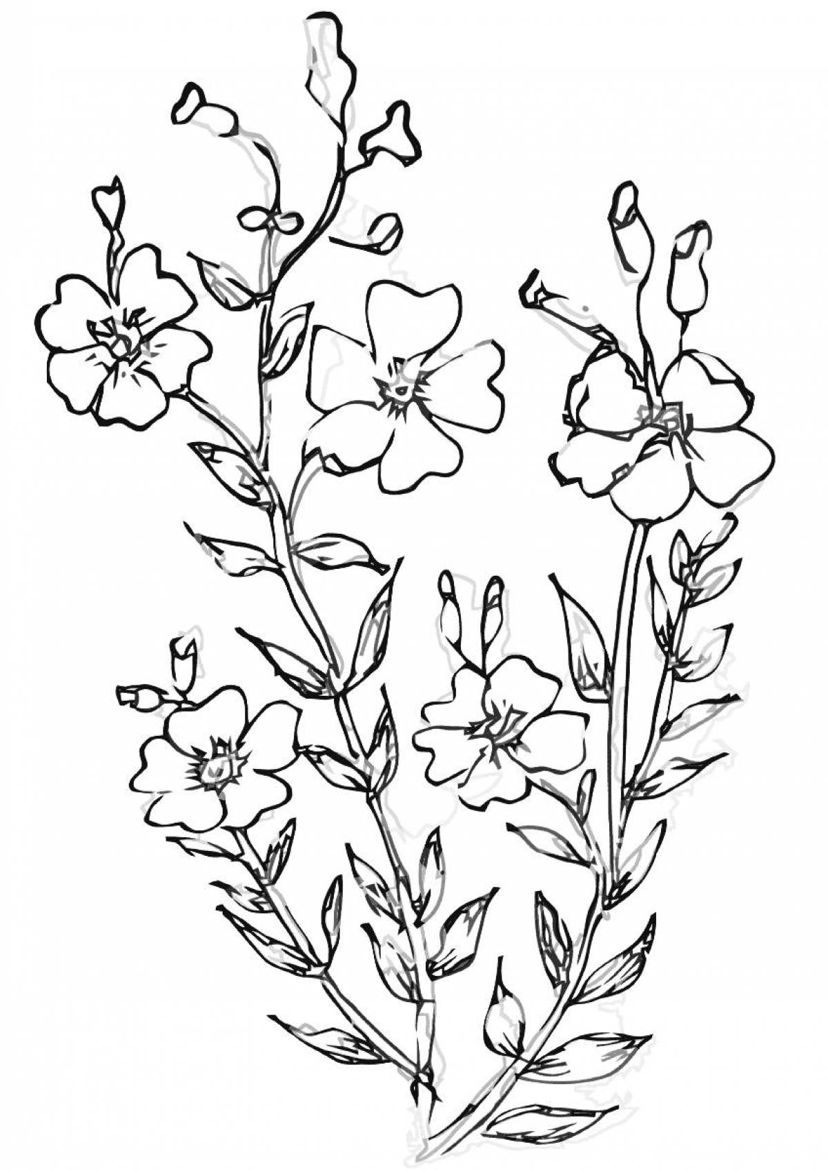 Linen coloring page