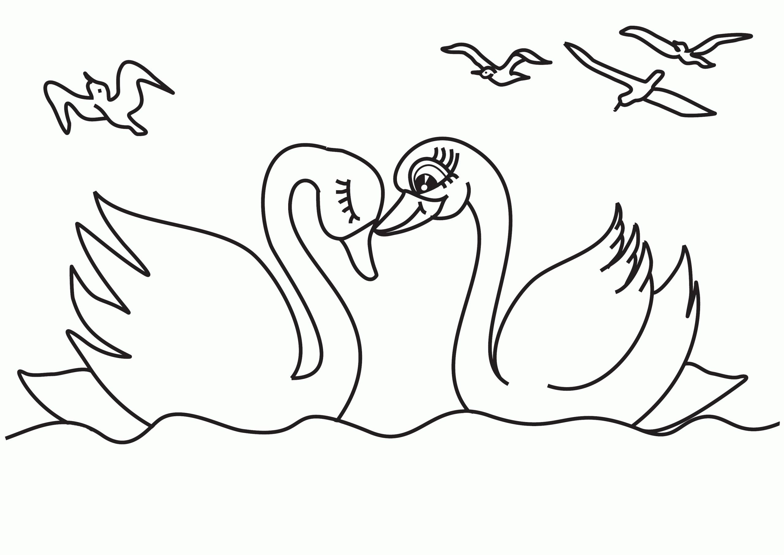 Swan coloring page two swans on the pond