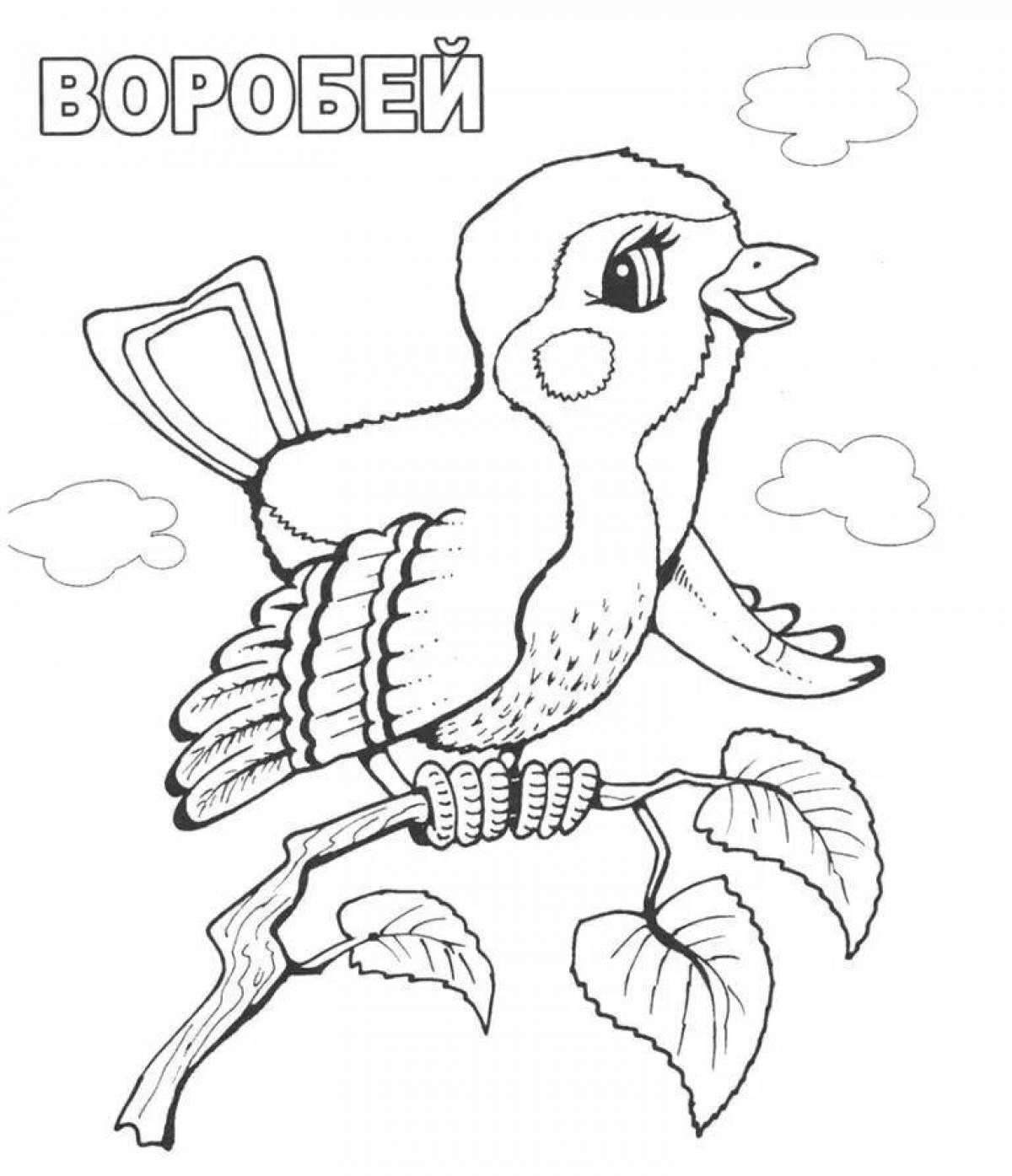 Зимующие птицы раскраски для детей Воробей