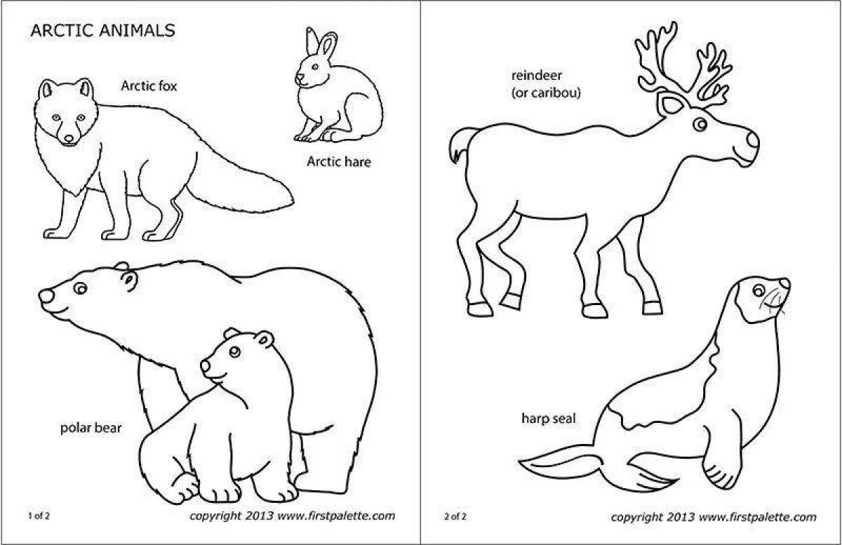 Образец животных. Раскраски животные севера для дошкольников. Северные животные задания для детей. Задания с северными животными для дошкольников. Разукрашки для детей животные северадл.