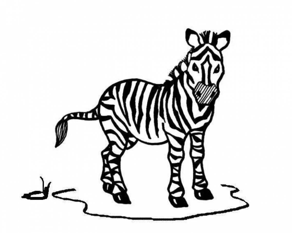 Сияющая клетчатая зебра