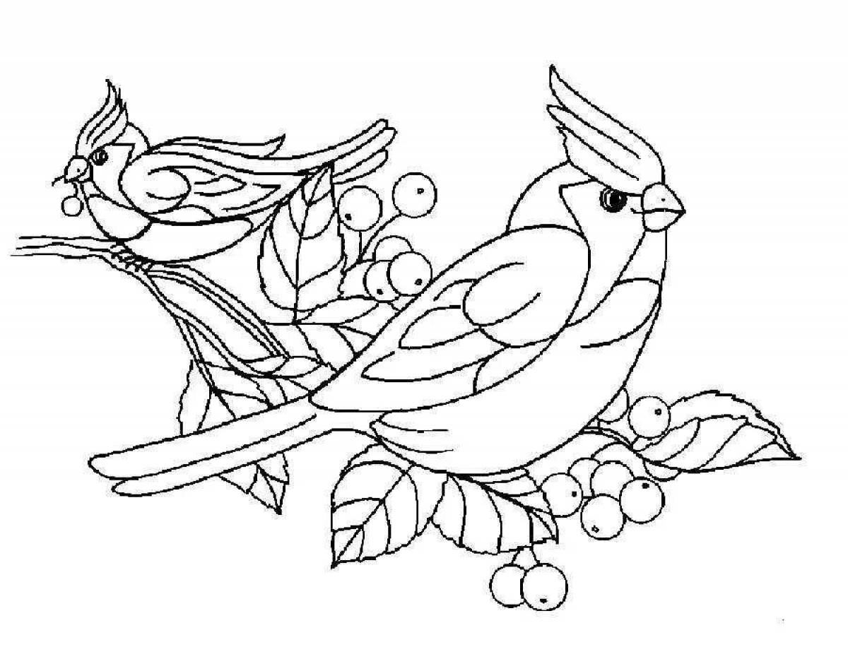 Анимированная страница раскраски птиц для детей