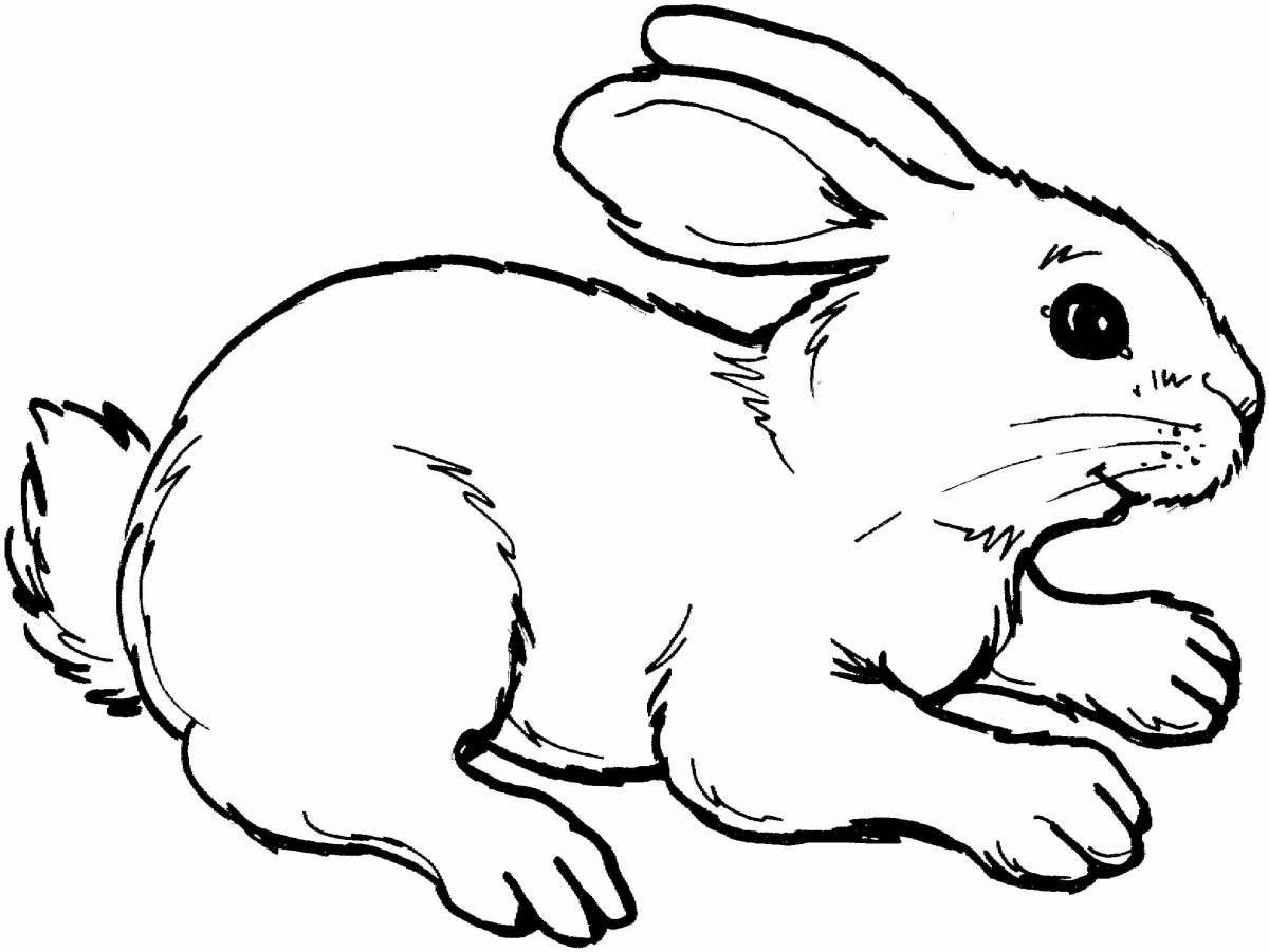 Красочная раскраска рисунок зайца для детей