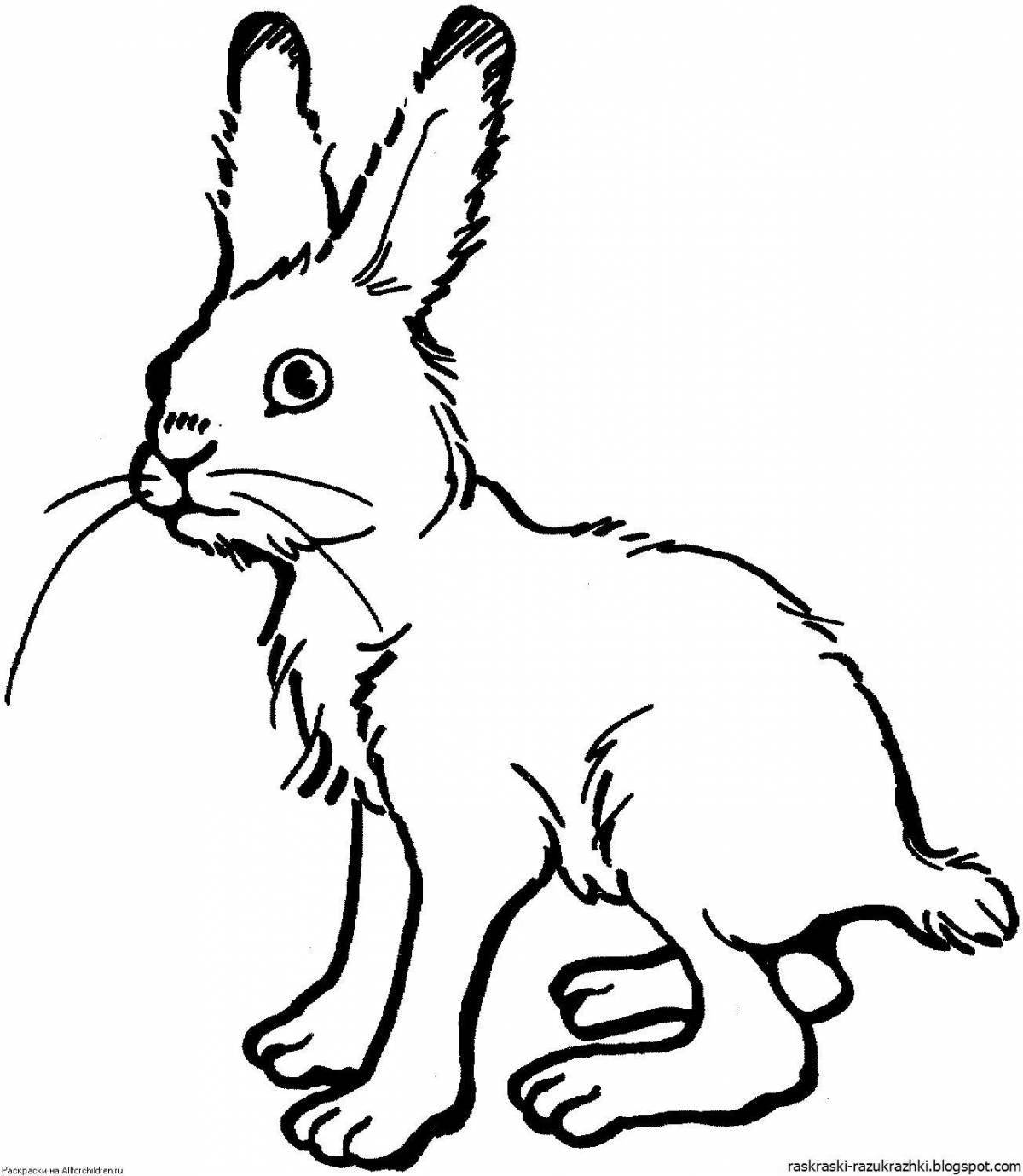 Милая раскраска рисунок зайца для детей