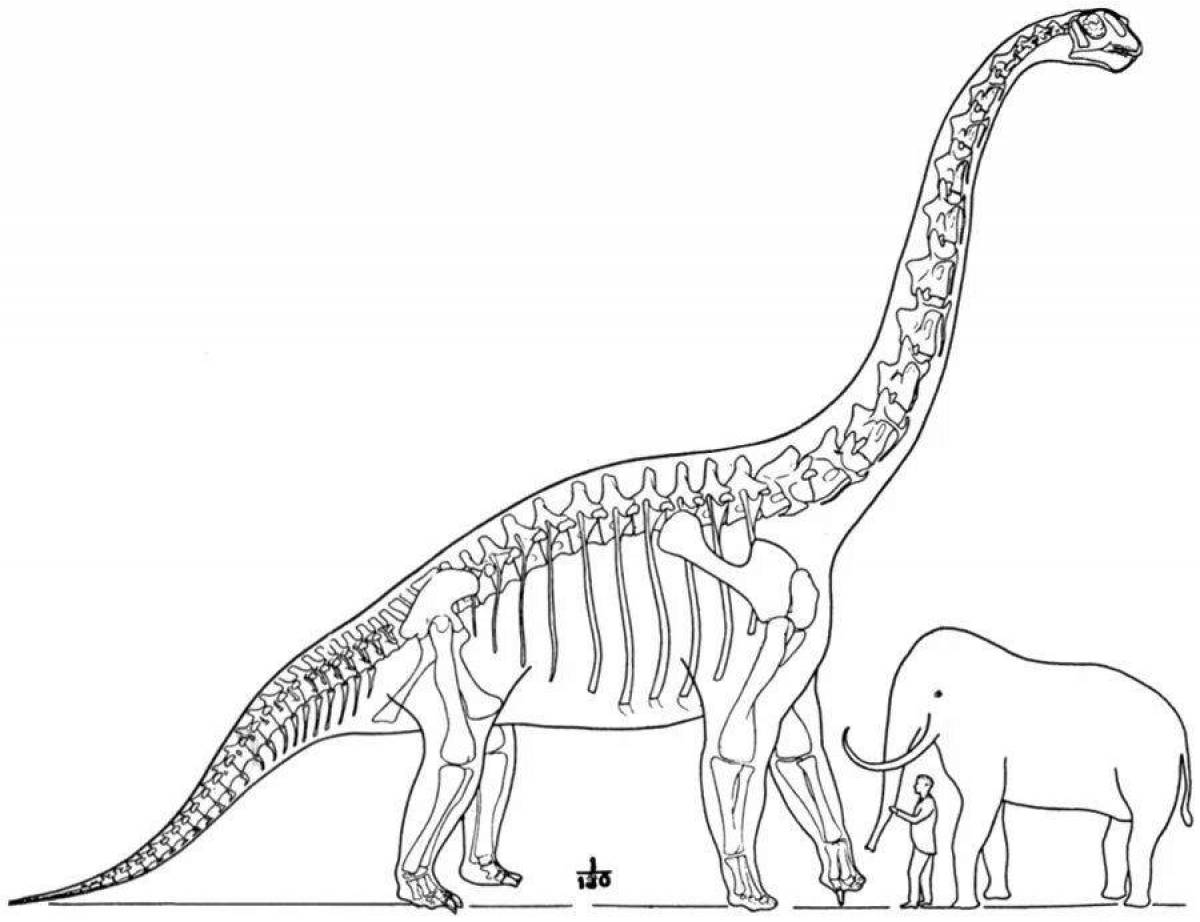 Праздничная раскраска бронтозавр