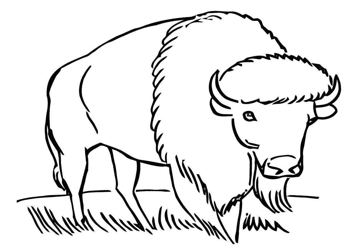 Joyful bison coloring for kids