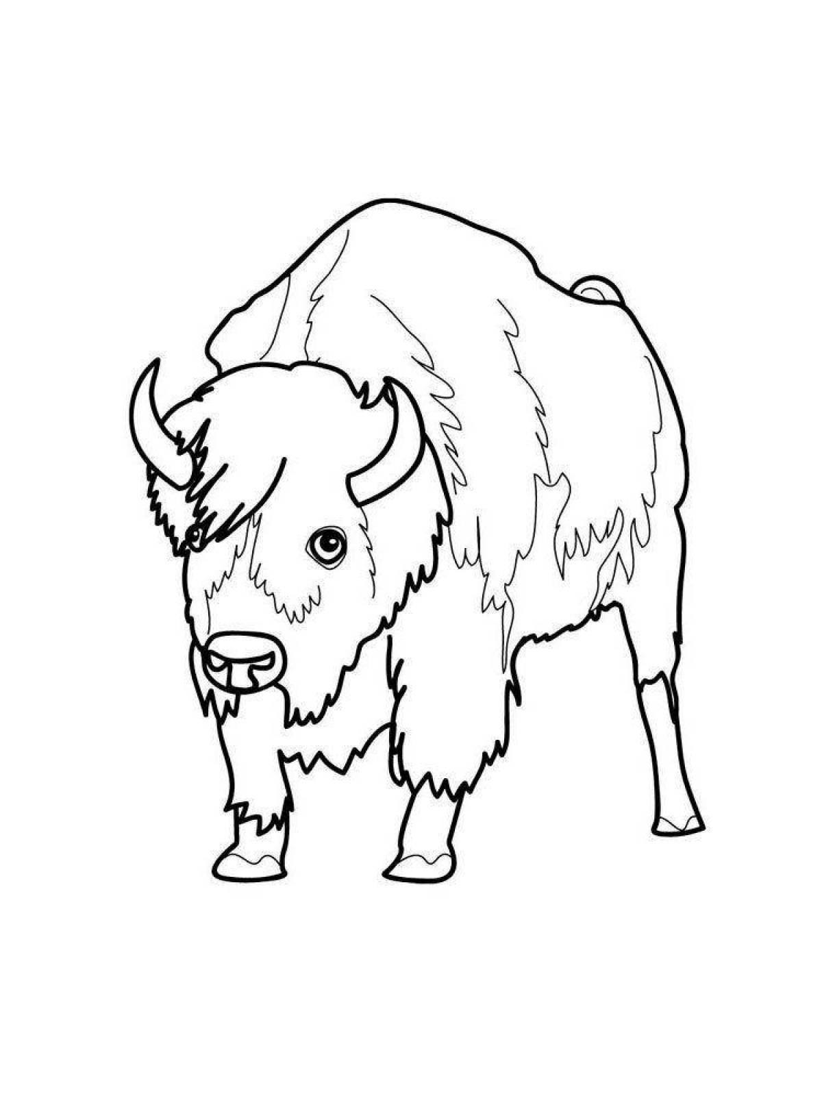 Jolly buffalo coloring book for kids