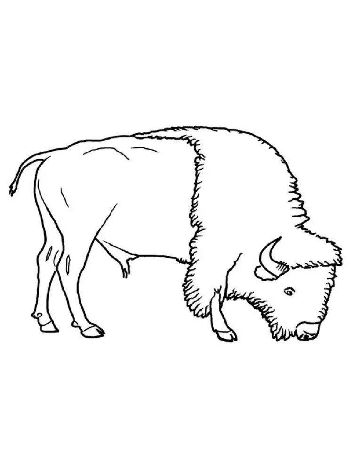 Fun coloring bison for kids