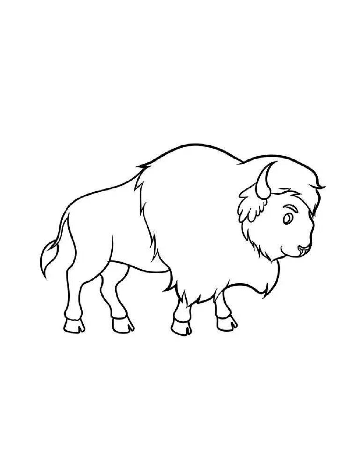 Amazing bison coloring pages for kids