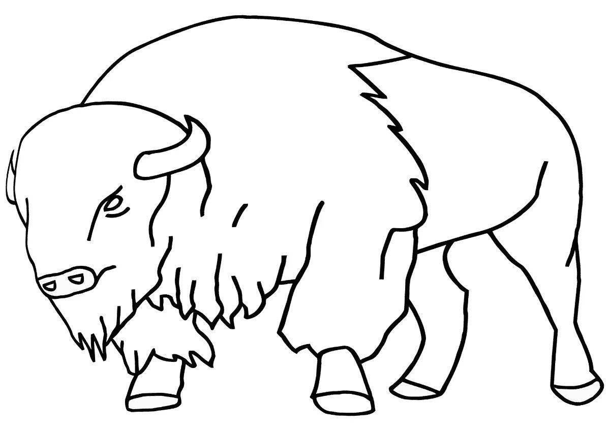 Cute bison coloring book for kids