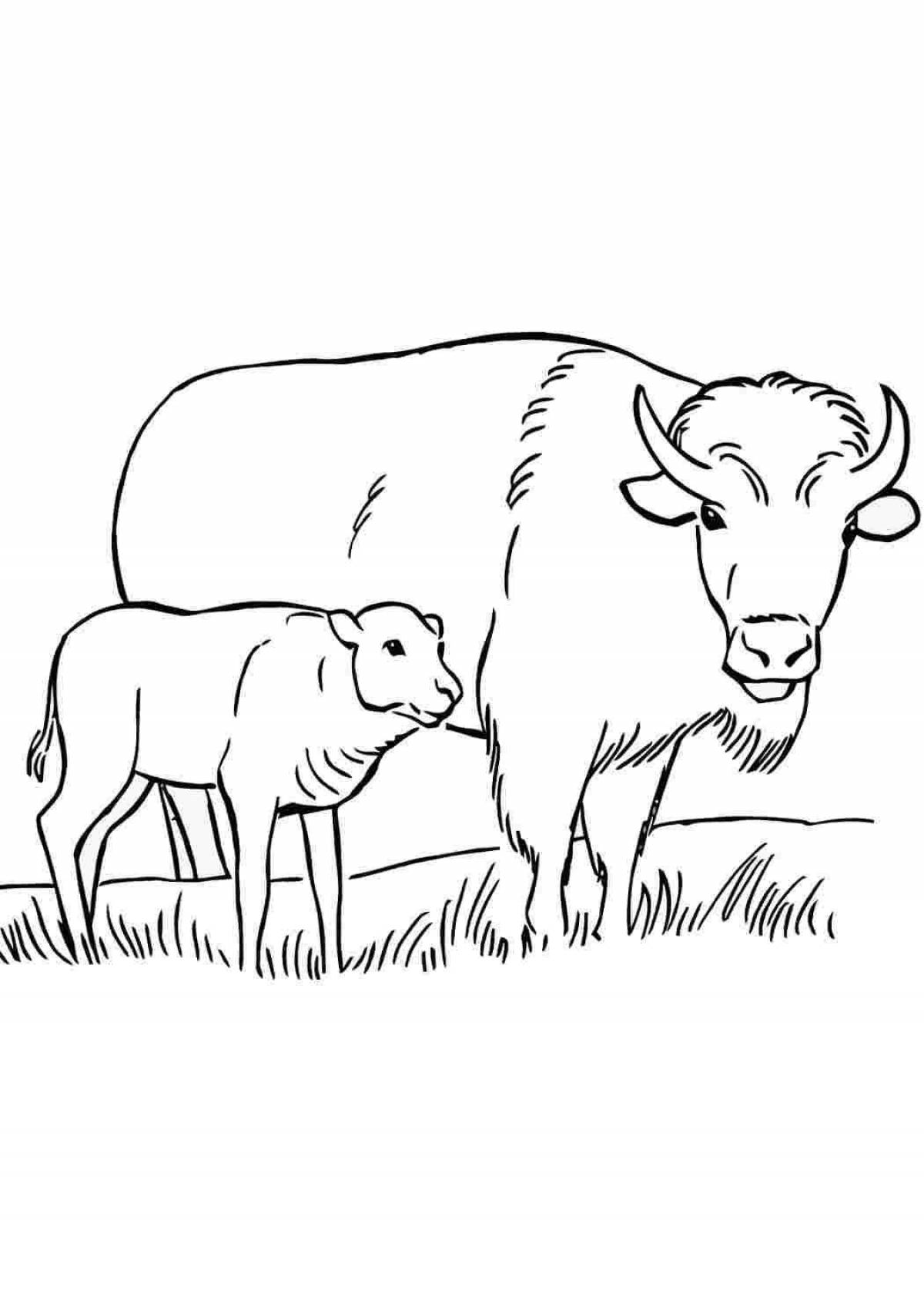 Раскраска «милый бизон» для детей