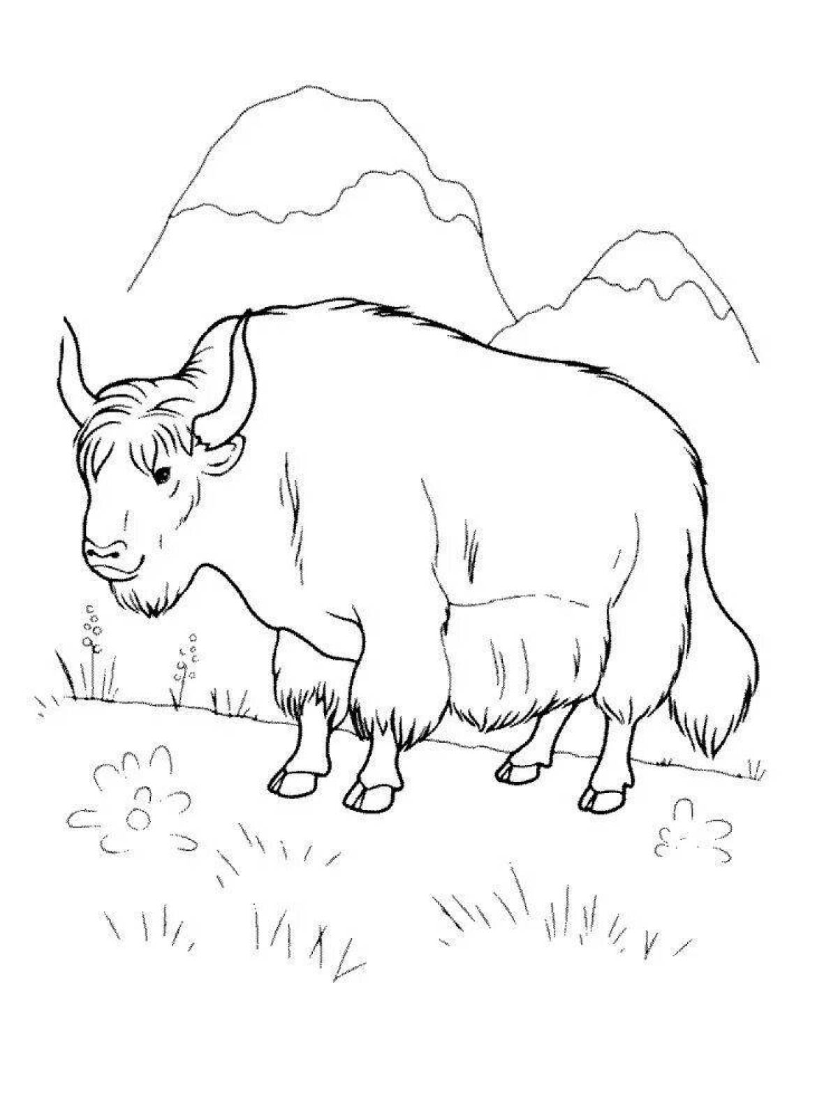 Fancy bison coloring book for kids