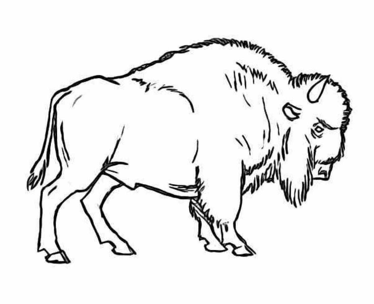 Coloring book magical bison for kids