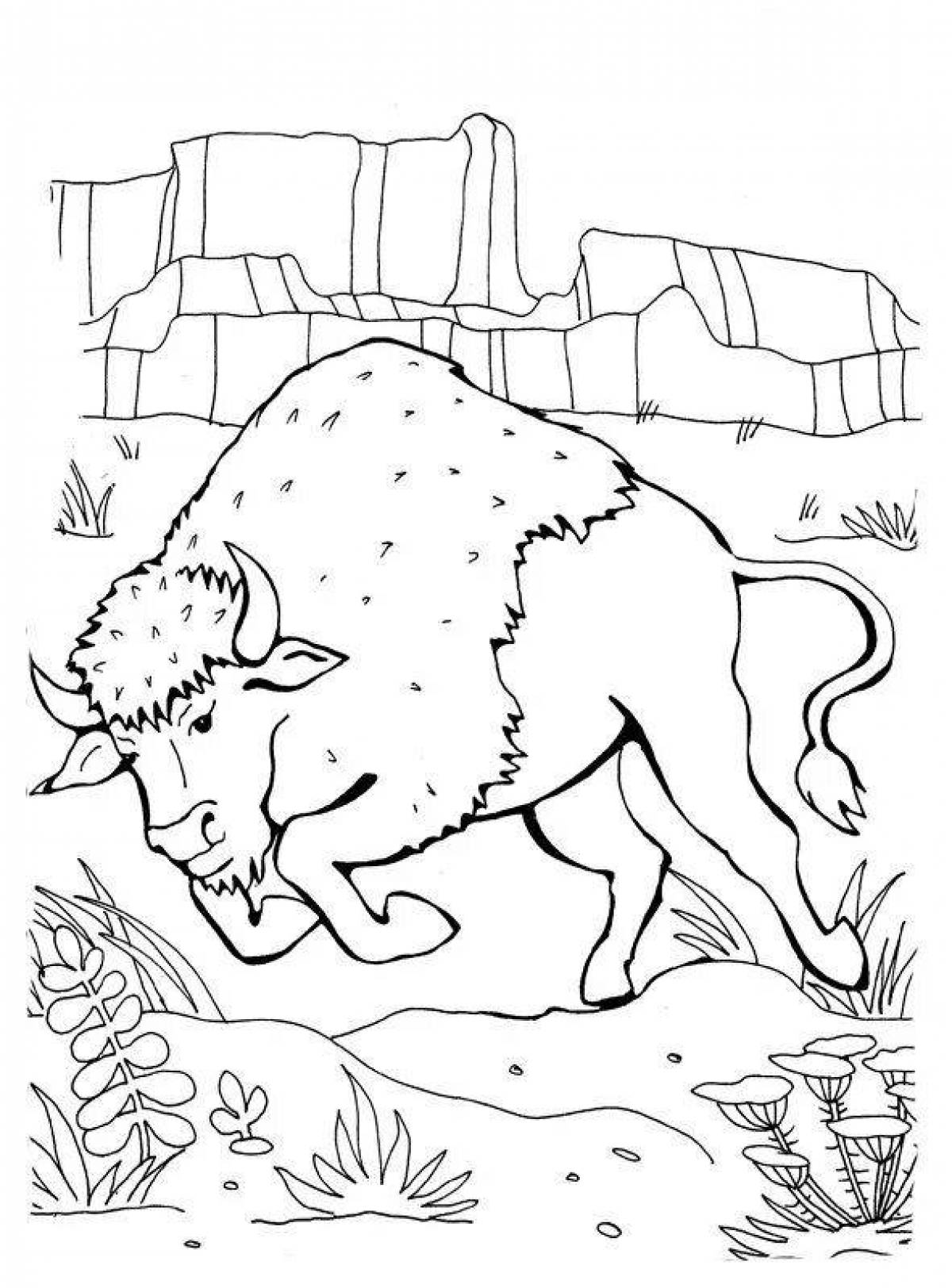 Living coloring bison for kids