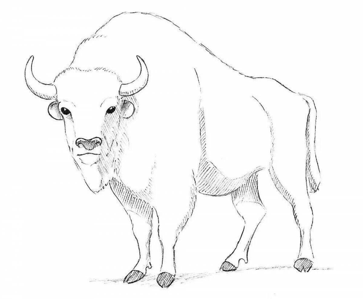 Outstanding bison coloring book for kids