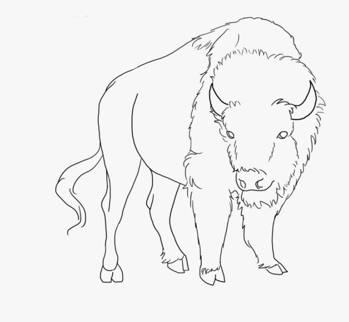 Fairy bison coloring pages for kids