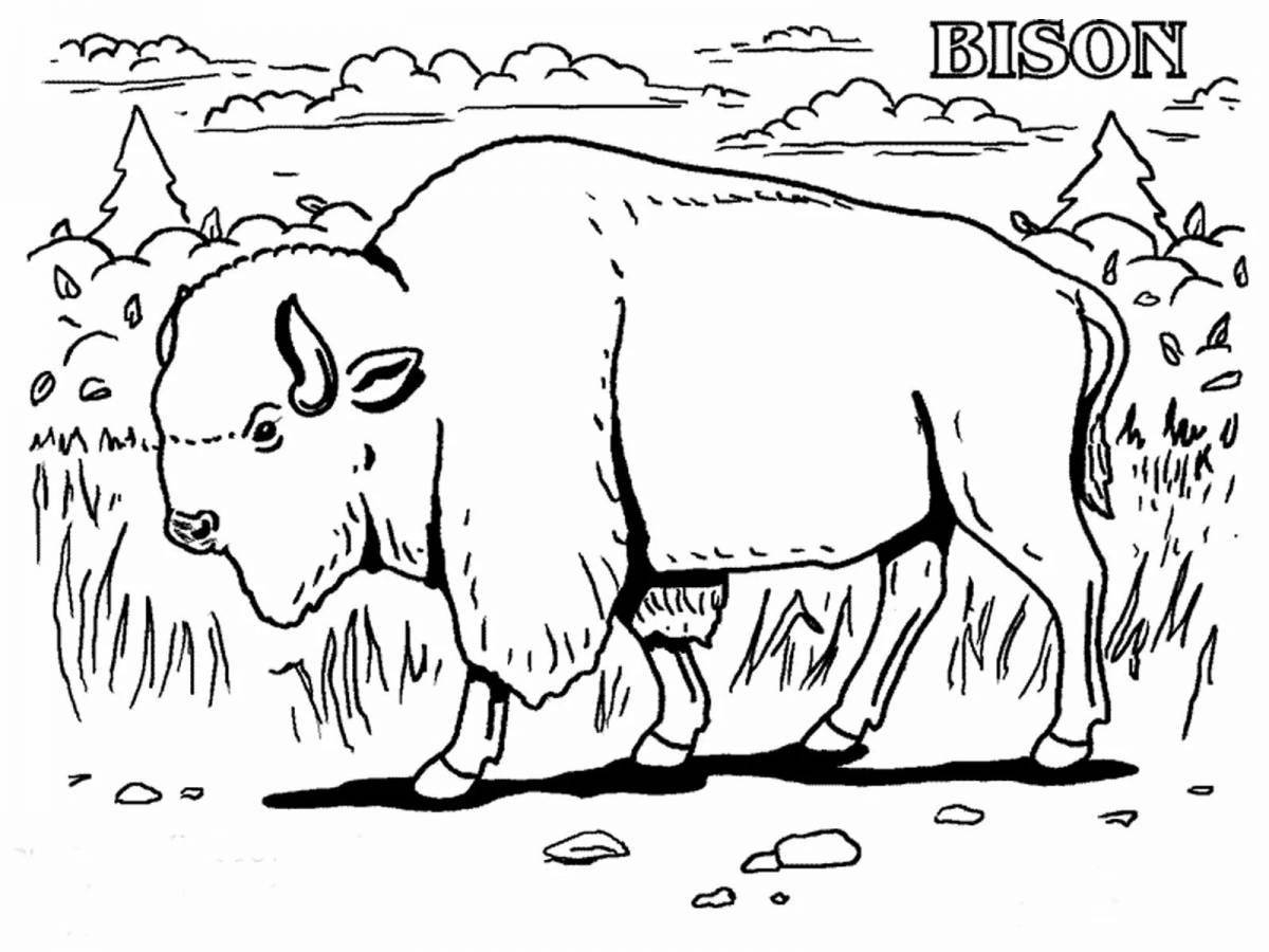 Coloring book shiny bison for kids