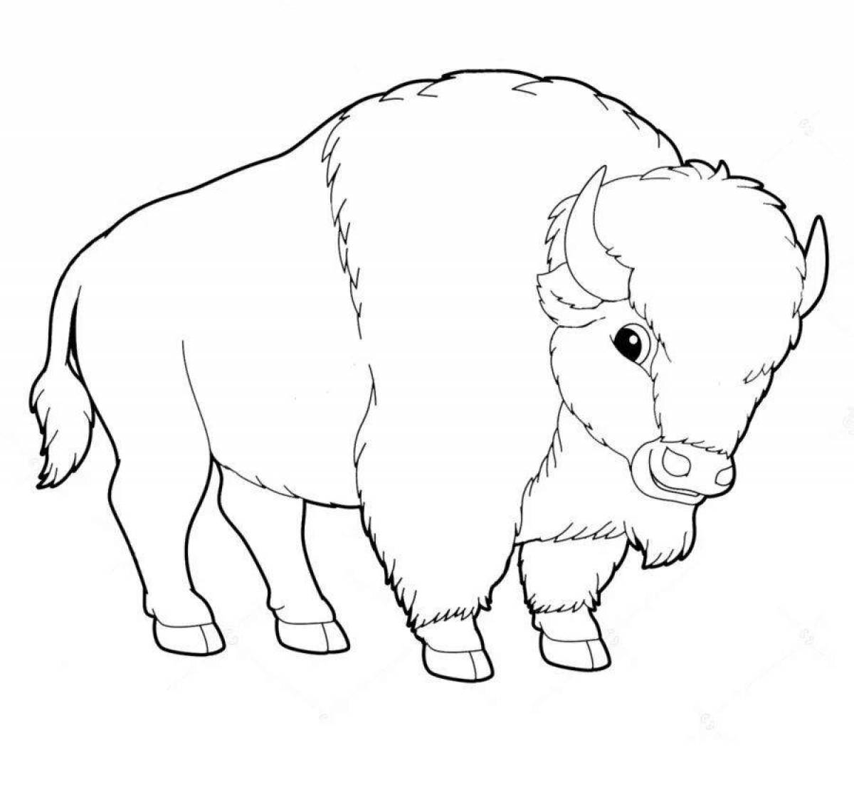 Dazzling bison coloring book for kids
