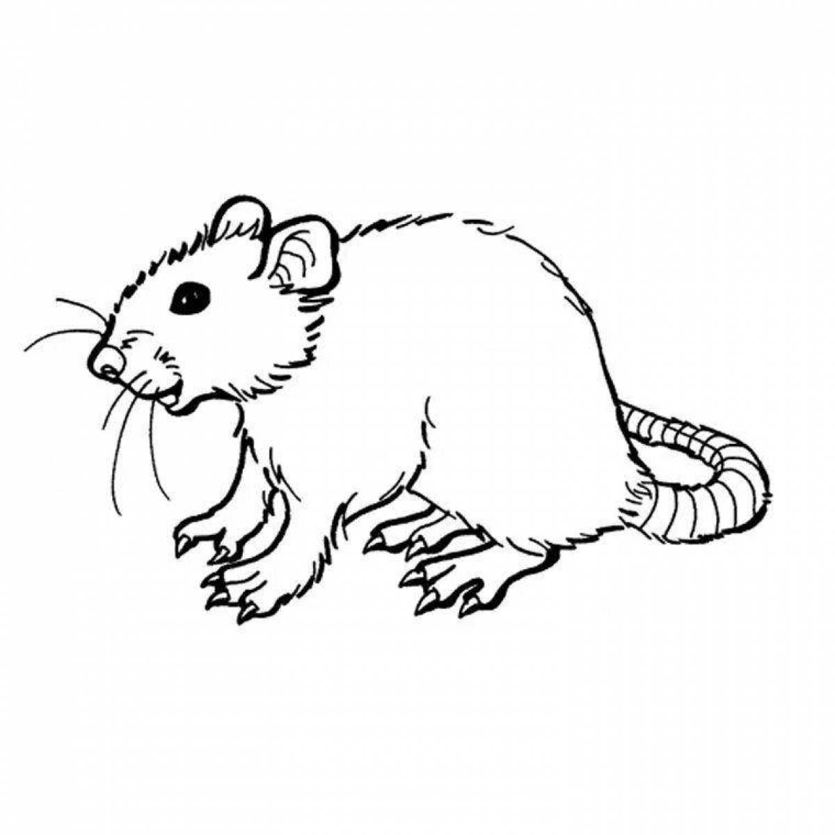 Красочная крыса-раскраска для детей
