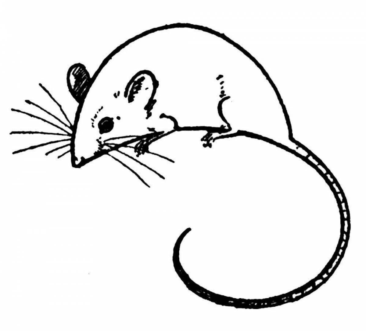 Милая крыса-раскраска для детей