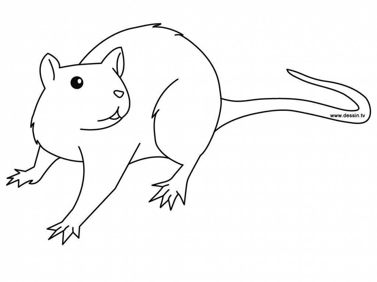 Crazy rat coloring book for kids