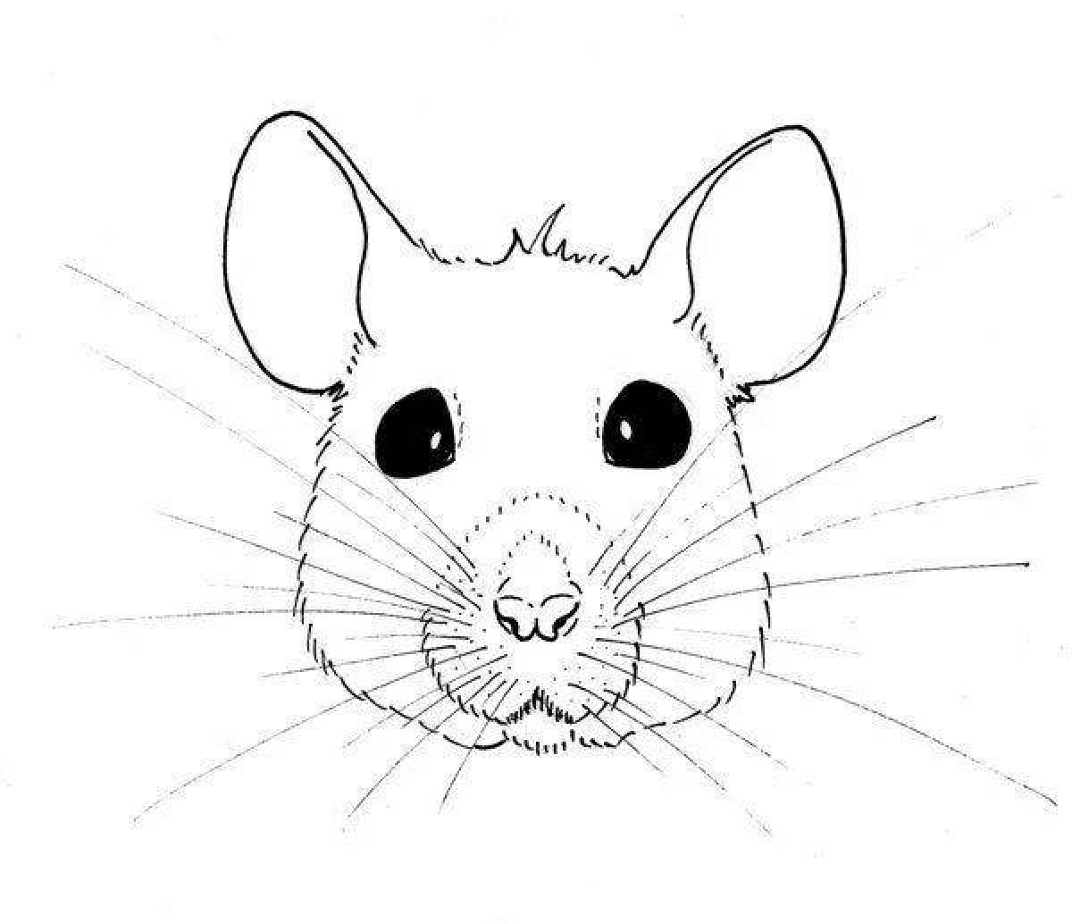 Adorable rat coloring page for kids