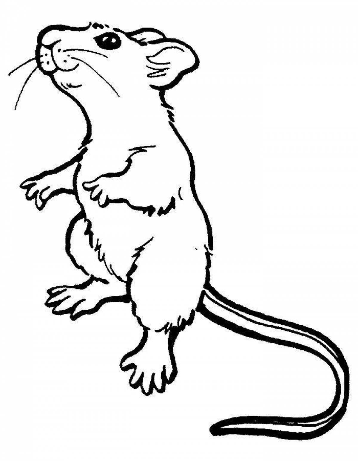 Крыса для детей #11